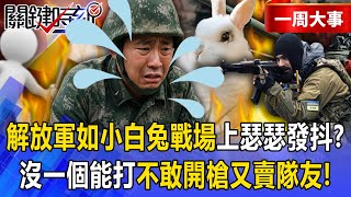 PLA is like a little white rabbit caught on the battlefield between Russia and Ukraine and trembles!