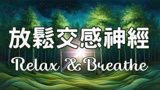 放鬆交感神經｜夜林放鬆發呆冥想音樂 ｜深呼吸回穩篇 Vol.3｜#無廣告 無廣告Deep Breathing Recovery Vol.3｜Forest Piano & Night Calm
