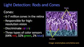 Cones