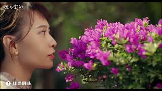 🌸2025花在彰化🌸花繪城事🌃