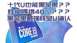 【司波图】10代最强带核显黑苹果装机实战及性能演示，附安装所需的注意事项