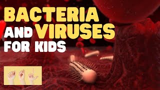 ASL Bacteria and Viruses for Kids