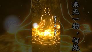 金刚经说什么？#金刚经的智慧#内心力量#思想能量#灵性能量#正念冥想#治愈文字#吸引力法则#感恩能量#幸福人生#内在成长#灵性成长