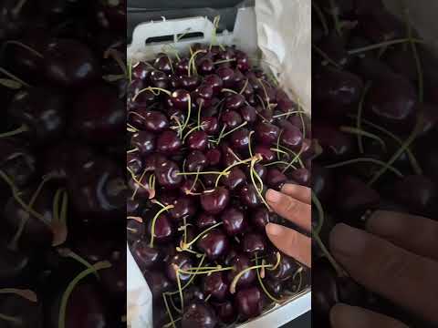 #TakdanehCherries #CherryExport #QatarTrade #AgriExport #InternationalBusiness #FruitExport #import
