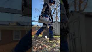 Professional Tree Felling: A Demonstration of a Perfect Hinge Cut