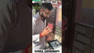 adhesive and cohesive of water | science experiments |#experiment #science #physics