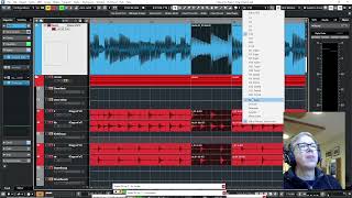 Where is the Cubase Nudge palette located? And if it's missing, how can I find it?