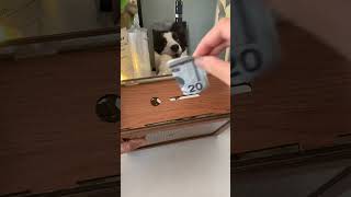 Best saving tips revealed #save #moneytips