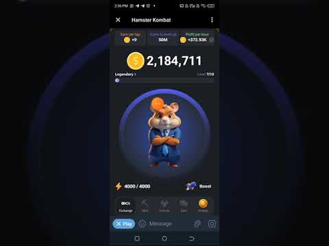 How to get the Daily combo card for hamster Kombat 12/6/2024/ cipher code