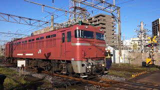 [4K] ED76とEF81の連続入換【朝の鹿児島駅は見ごたえあり！】