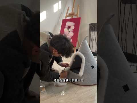 小狗也要过圣诞呀 手工diy 圣诞狗窝 圣诞氛围 圣诞树