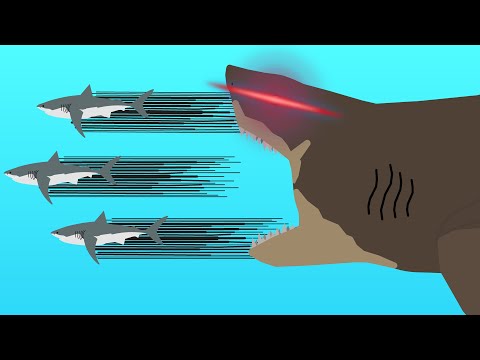 shark vs shark vs trex