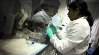 South Africa: Durban Labs