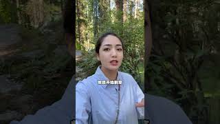8月来伊犁就是大冤种!吗？#新疆旅游攻略 #新疆 #新疆旅游 #中国新疆旅游 #新疆私人定制团#Travel#TravelinChina#XinjiangTravelGuide