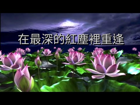 YPT22《在最深的紅塵裡重逢》心靈音樂｜休閒音樂｜佛教音樂｜禪修音樂｜太極拳背景音樂＞無痕加長珍藏版