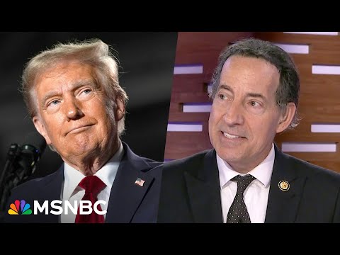 ‘Deliberate ignorance’: Raskin on Trump’s comments about upholding the Constitution, due process