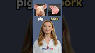 Animals and Their Meat Names in English