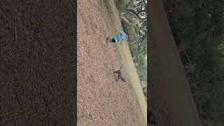 Kids having fun #dogs #sonsoftheforest #florida #funnyvideo #living #arboristing #treedoctor