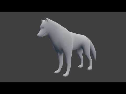 Wolf Animations Study