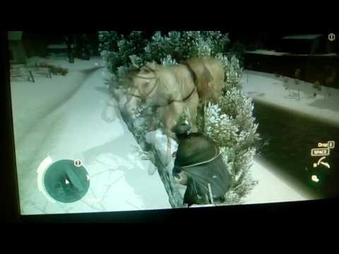 Buggy creed ... Test (Assassins Creed (4) - Blackflag)