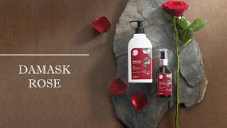 JuliArt - Damask Rose Series Hair Repair Moisturizing Effect Shampoo
