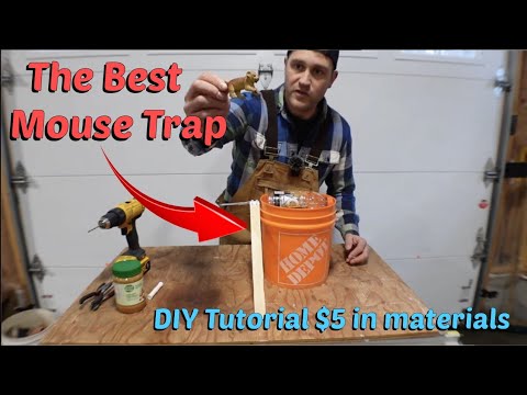 The Best Mouse Trap - how to build for $5