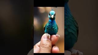 Peacock dancing | AI video #song #kids