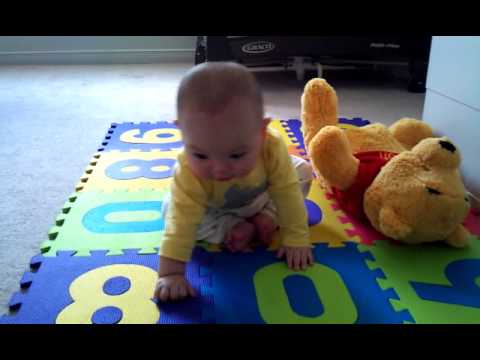 haohao six months