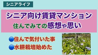 【シニアライフ】シニア向け賃貸マンションの一部紹介と、引っ越して気付いた事や思いを話します。