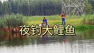 微山湖闸口旁鲤鱼真多，六号主线拉断好几套，钓友闻讯都在这守钓