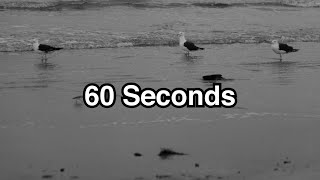 ⏱️60 Seconds $GRPN $FSLR $STMP $TMUS $UBER #JOBS
