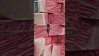 Why Joe Rogan Can’t Stand Wagyu Beef 🥩