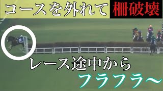 【落馬事故】柵を破壊して騎手落馬！馬はそのまま走り出す珍しい落馬事故