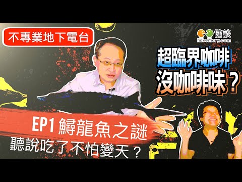 【不專業地下電台EP1】電視購物狂必看！鱘龍魚有多神？！聽說吃了就不怕變天？海裡游的鱘龍魚怎麼會和路上跑的雞軟骨有關係？？