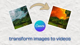 Animate Images to Videos - Fast Canva Tutorial