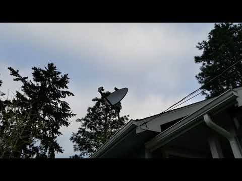 Dishpecker