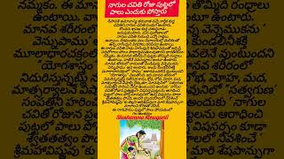 నాగుల చవితి రోజు పుట్టలో పాలు  ఎందుకు పోస్తారు #karthikamasam #nagulachavithi