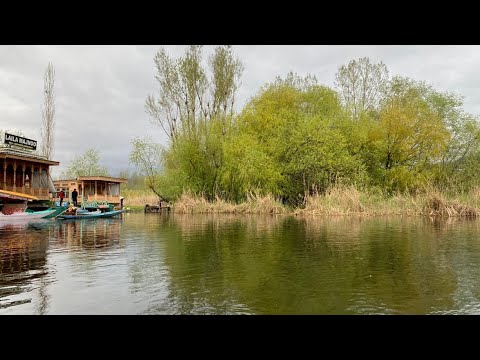 Dal lake,  Srinagar Kashimr