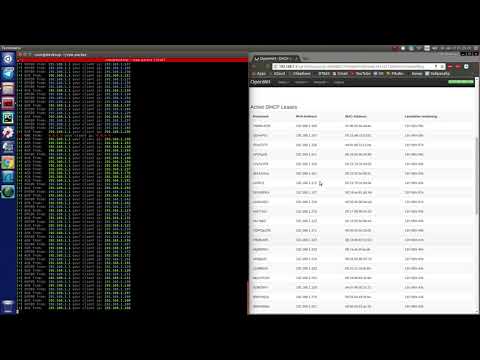 DHCP starvation