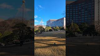 椿山荘東京内イタリアンレストラン「イル・テアトロ」　#shorts　#イタリアン #ランチ #食べログ #食べログ百名店 #ホテル #椿山荘 #レストラン #グルメ #食べ歩き