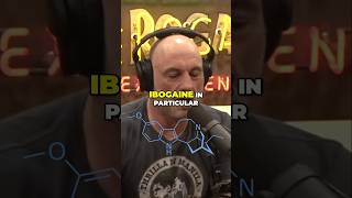 Joe Rogan on Ibogaine’s 90% Success Rate for Addiction | JRE #2302