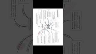 ch 5 bst mind map class 12th #aimers #aimersclasses #class12th #mindmaps #bst #businessstudies