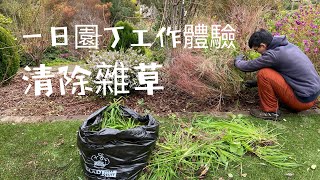 清除待售豪宅花園的雜草《一日園丁工作體驗系列》
