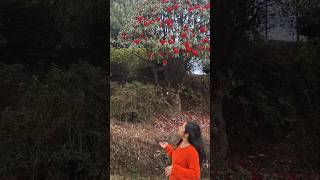 Sukhia Pokhari 📌 #explore #viralshorts #fyp #flower #travel