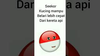 kucing mampu belari lebih cepat dari kereta api #comedy #menghibur #viral #sorts