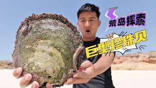 《Oman自驾》第31集：2天1夜探索无人海岛，收获好多巨型珍珠贝 #荒岛探索 #赶海 #海钓 #阿曼 #潜水 #珍珠贝 #户外露营