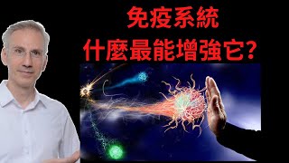 The best boost for your immune system 2022