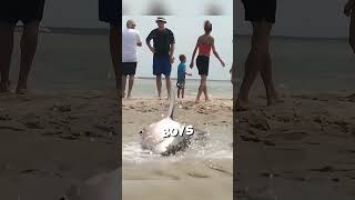 This great white shark was seeking help from tourists 🥹 #shorts