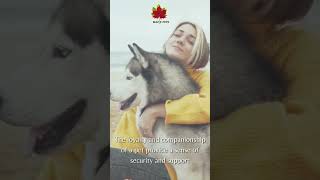Nutrience Subzero: Vows to establish a strong connection between pets and their owners.  #maplepets