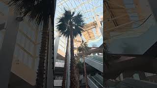Abandoned Shopping Mall #abandoned #abandonedplaces #lostplace #lostplaces #urbex #explore